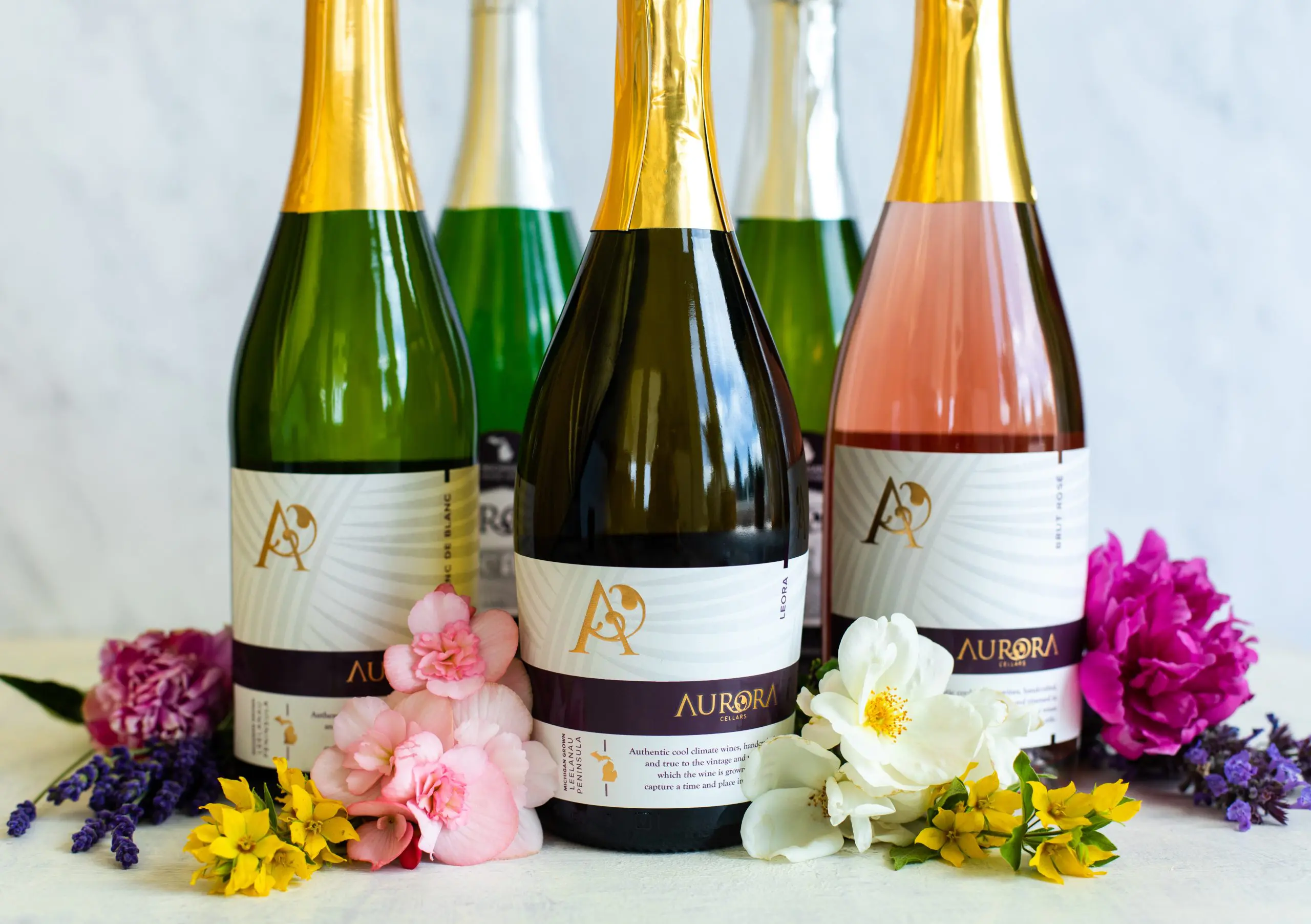 Sparkling wines from Aurora Cellars on display, Lake Leelanau, MI
