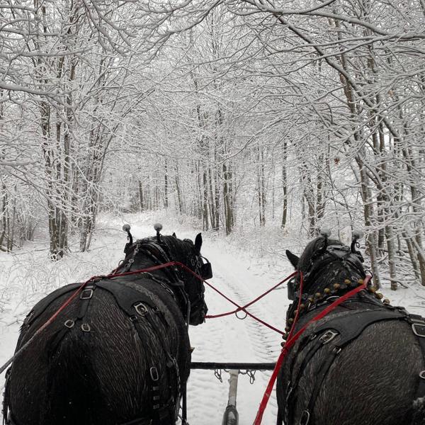 winter-sleigh-ride
